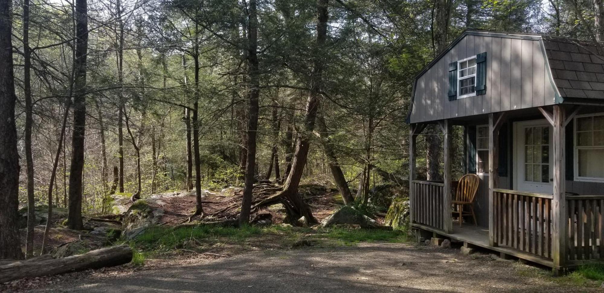 Abrams Creek Campground Mount Storm 외부 사진