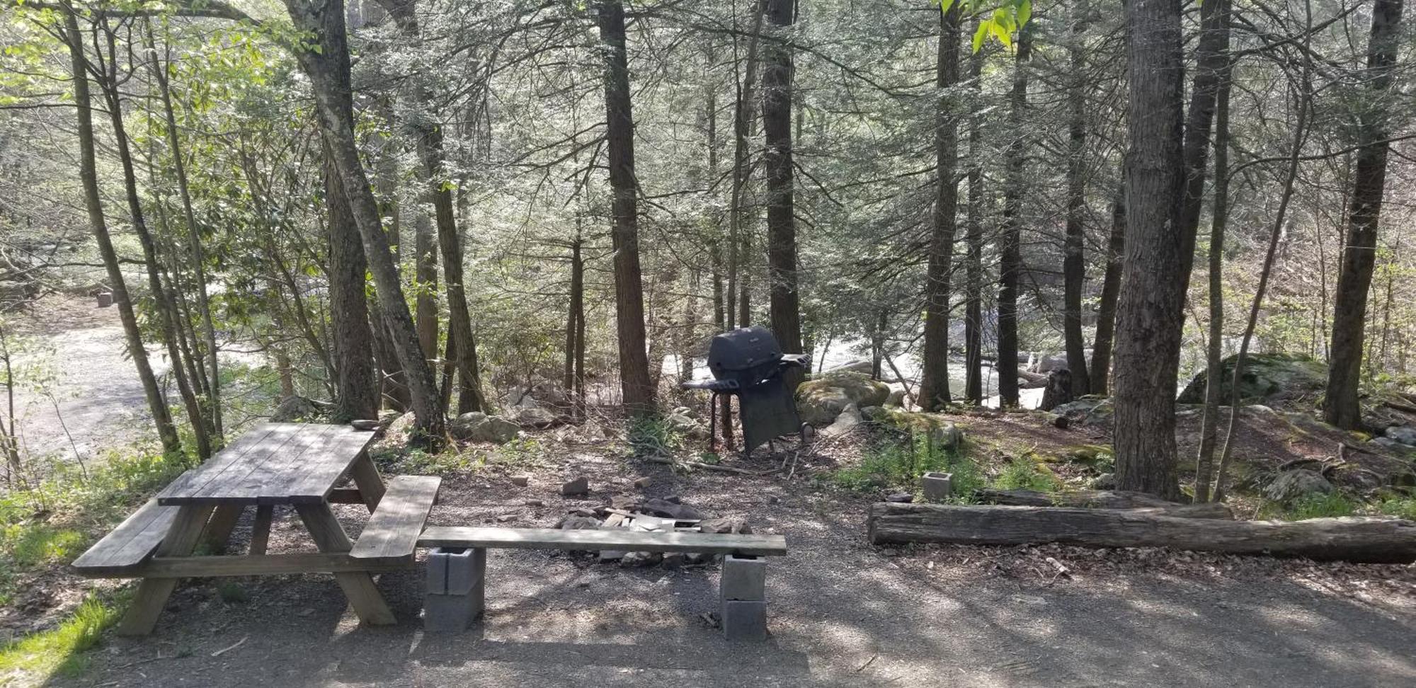 Abrams Creek Campground Mount Storm 외부 사진