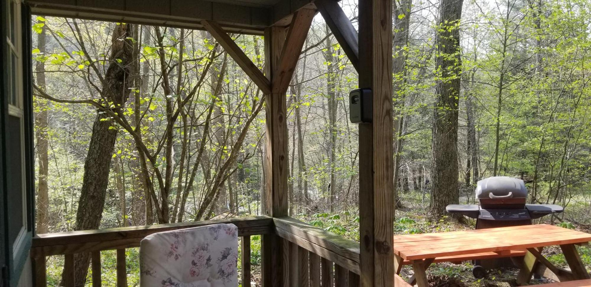 Abrams Creek Campground Mount Storm 외부 사진
