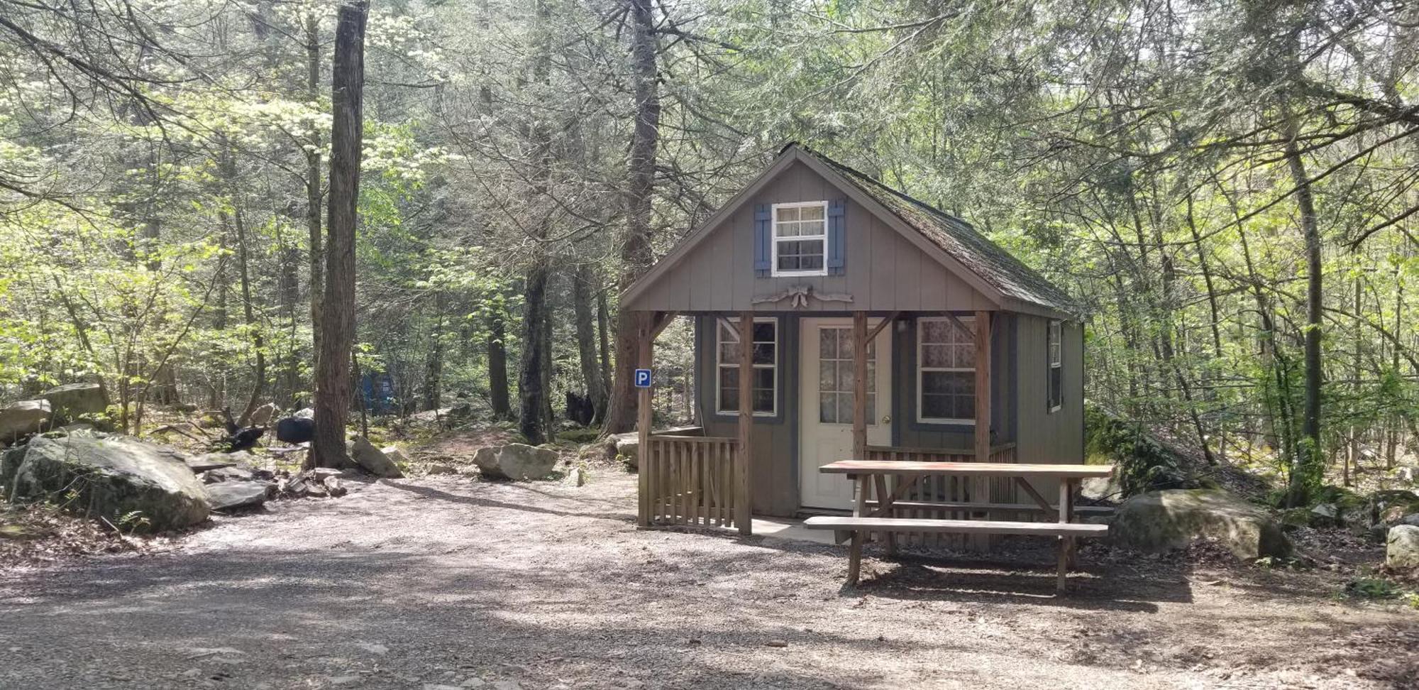 Abrams Creek Campground Mount Storm 외부 사진