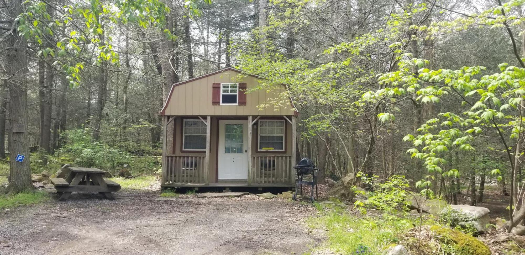 Abrams Creek Campground Mount Storm 외부 사진