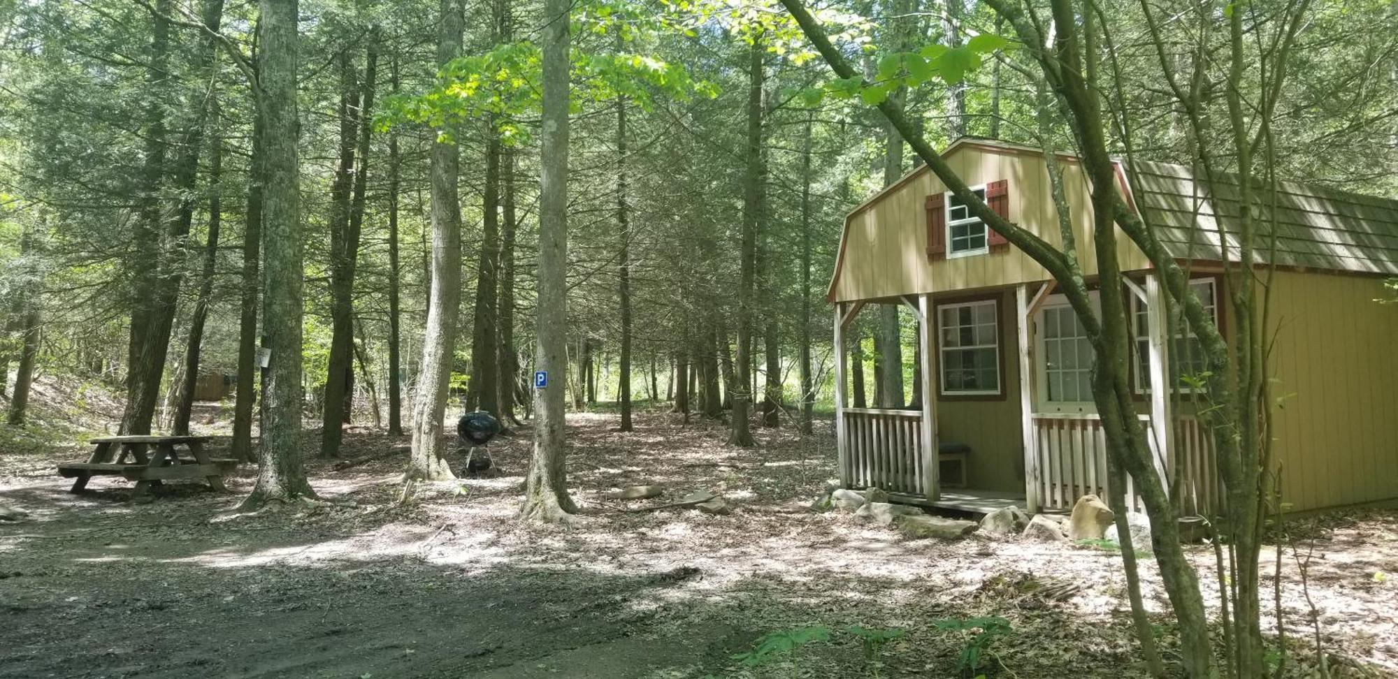 Abrams Creek Campground Mount Storm 외부 사진