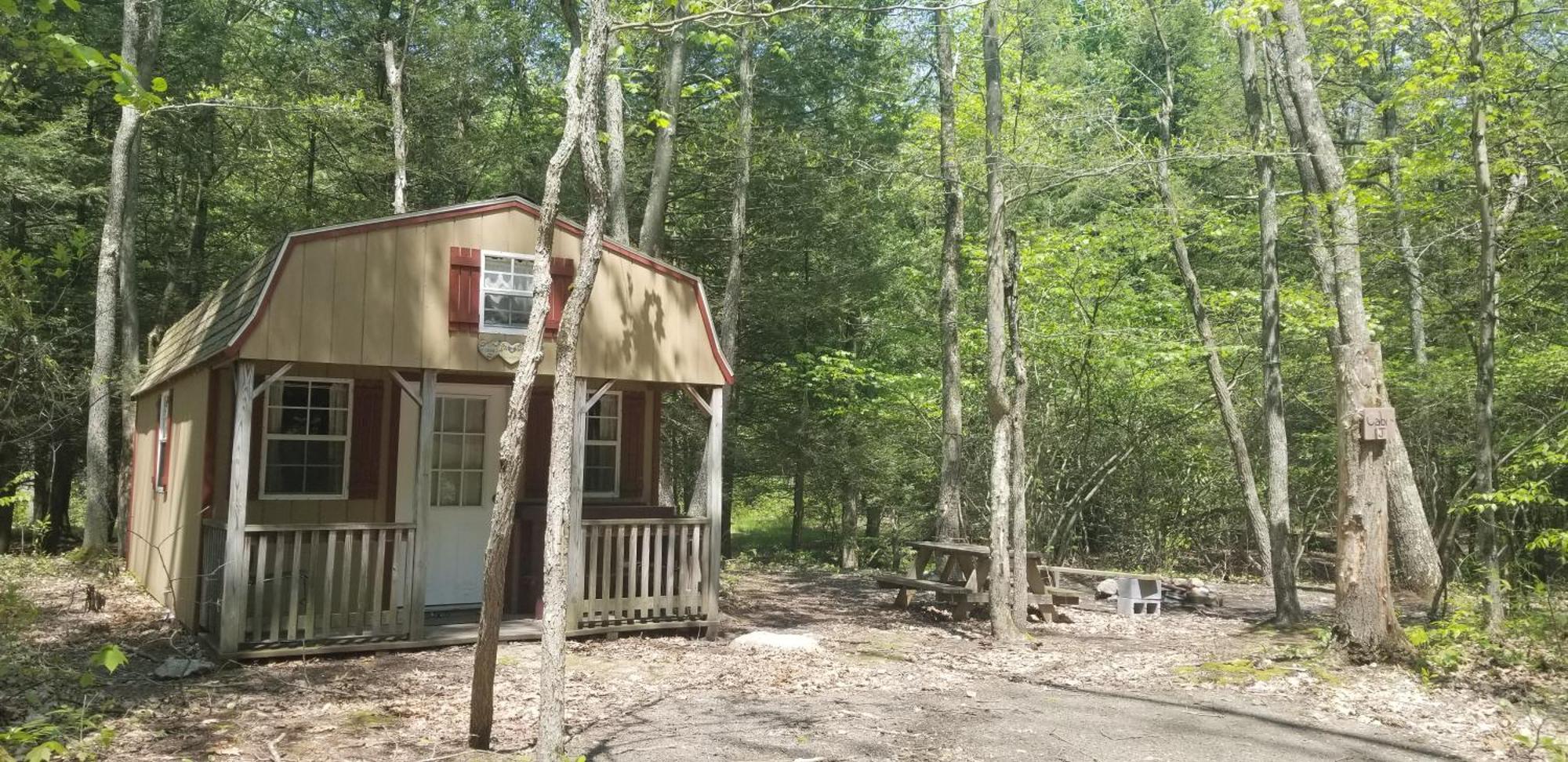 Abrams Creek Campground Mount Storm 외부 사진