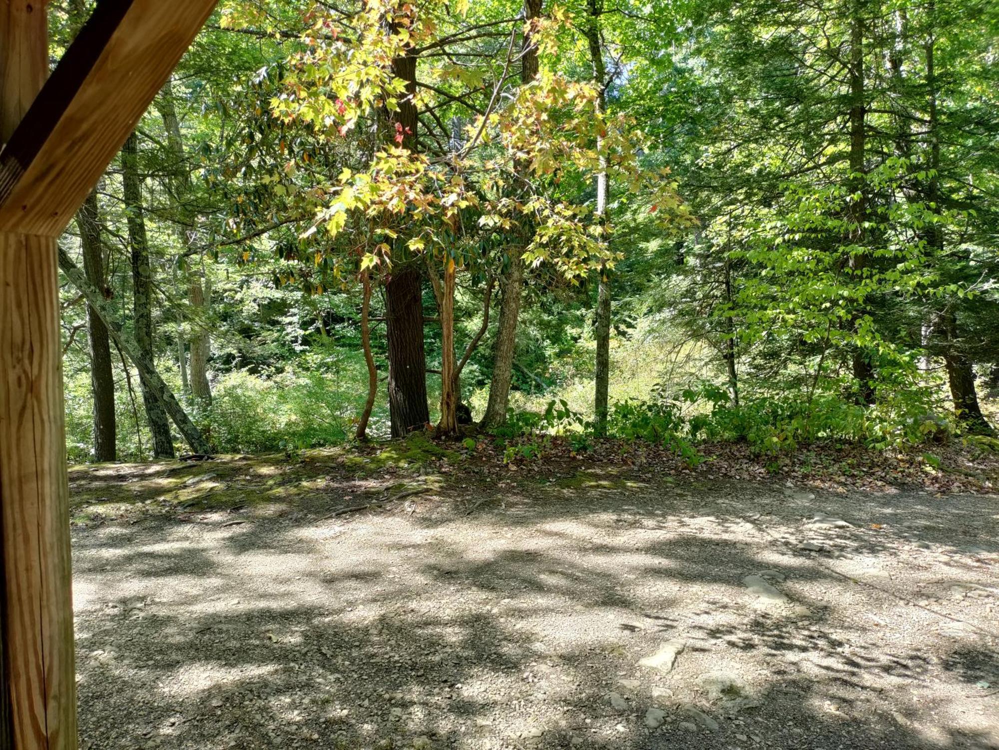 Abrams Creek Campground Mount Storm 외부 사진