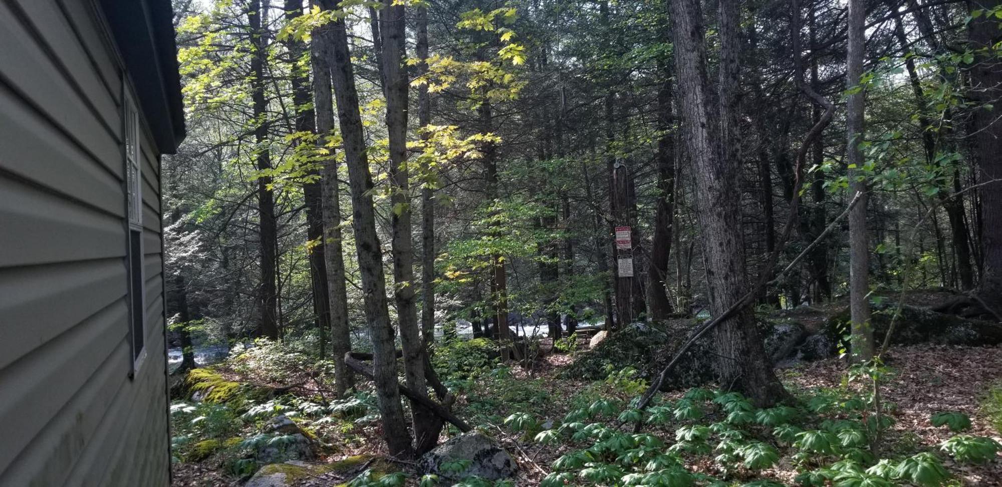 Abrams Creek Campground Mount Storm 외부 사진