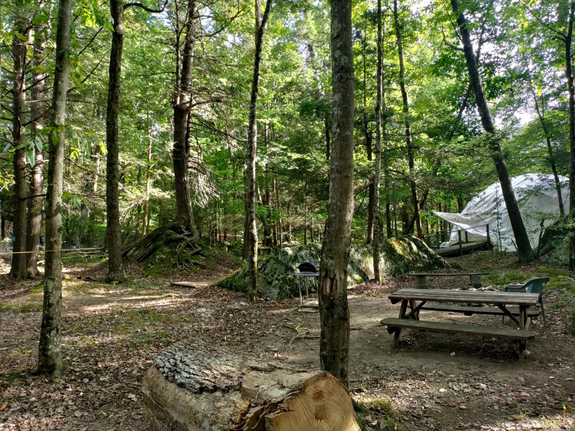 Abrams Creek Campground Mount Storm 외부 사진