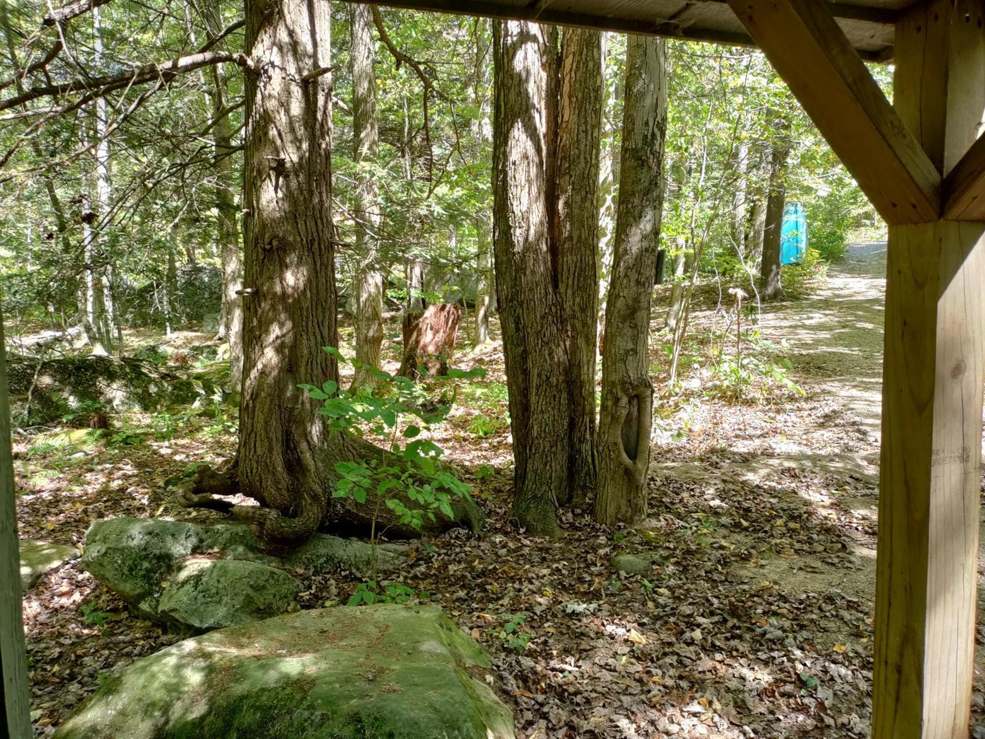 Abrams Creek Campground Mount Storm 외부 사진